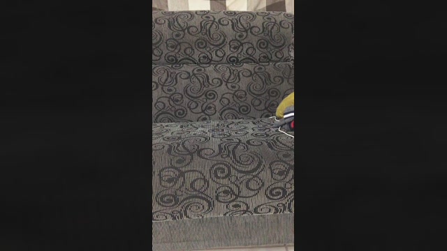 Saradao1996  21-06-2022